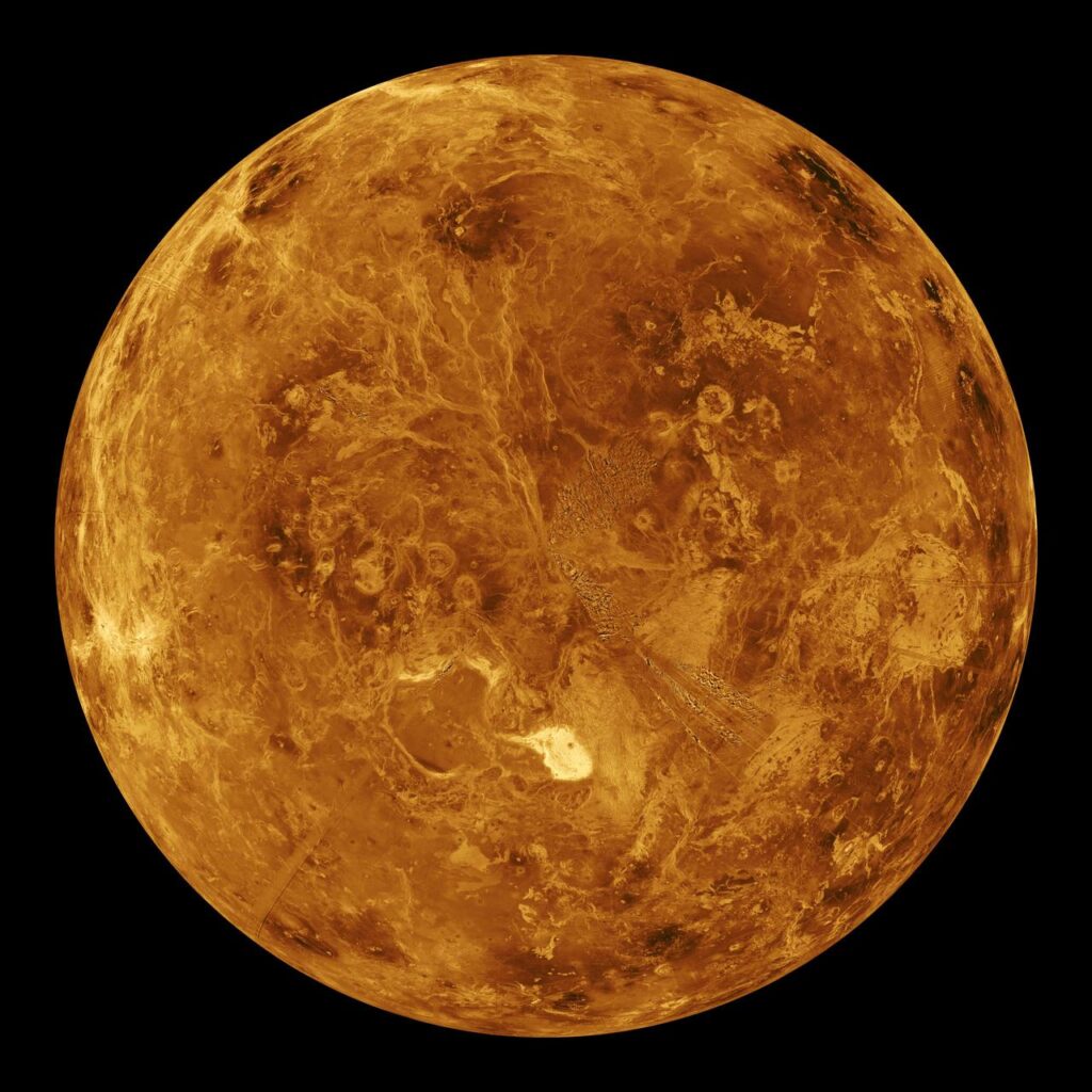 pia00271~medium