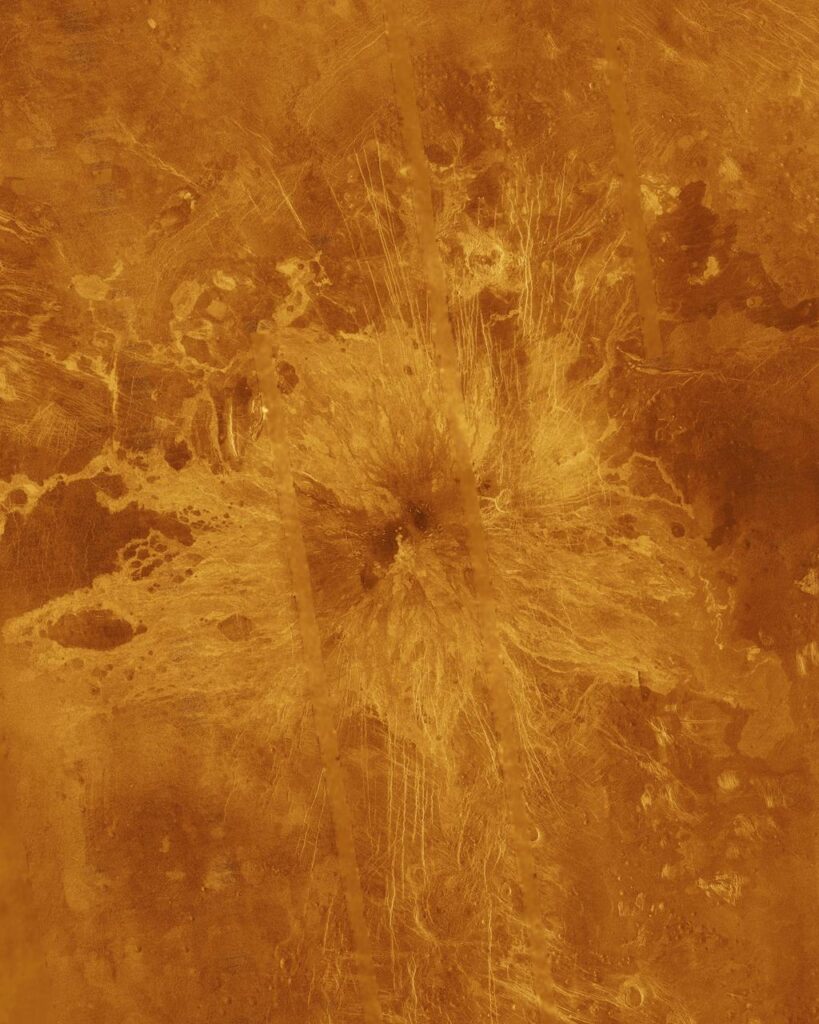 pia00272~medium